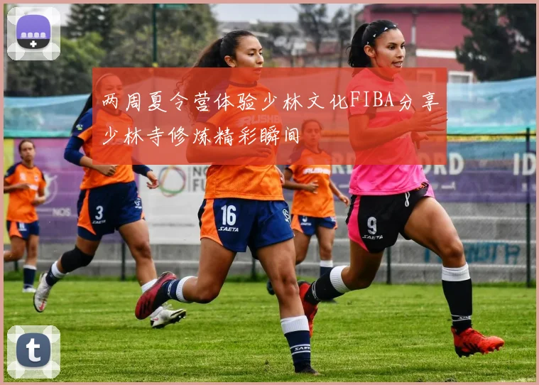 两周夏令营体验少林文化FIBA分享少林寺修炼精彩瞬间